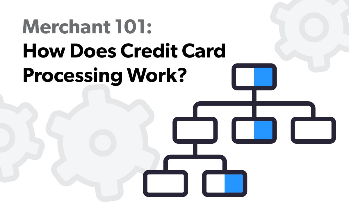 How Credit Card Processing Works